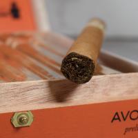AVO XO Preludio ND Cello Cigar - 1 Single (End of Line)