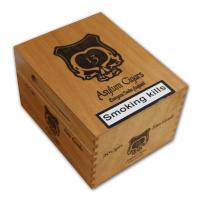 CLE Asylum 13 Toro Gordo Cigar - Box of 20
