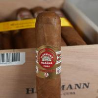 H. Upmann Connoisseur A Cigar - 1 Single