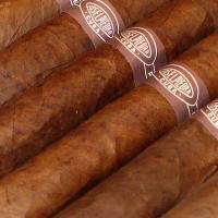 Jose L Piedra Conservas Cigar - Pack of 5