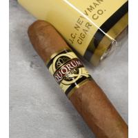 Quorum Shade Grown Corona Cigar - Bundle of 10