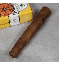 Nostrano del Brenta Campesano Cigar - 1 Single
