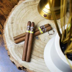 Aladino Santi Sampler - 4 Cigars