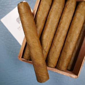 De Olifant Robusto Valentino Cigar - 1 Single
