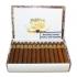 Vegas Robaina Unicos Cigar - Box of 25
