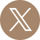 Twitter Icon