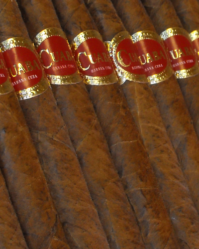 Cuaba Generosos Cigar (Vintage 2000) - 1 Single