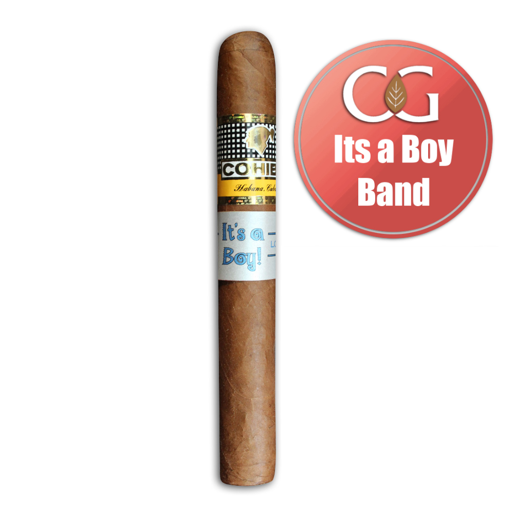 Cohiba Siglo II Cigar - 1 Single (Its a Boy Band)