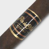 Flor De Oliva Maduro Robusto Cigar - 1 Single