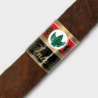 Joya de Nicaragua Antano 1970 Coronet Cigar - Tin of 10