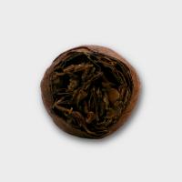 Joya de Nicaragua Antano Joya Red Cigar - Tin of 10