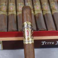 Alec Bradley Tempus Terra Novo Cigar - 1 Single