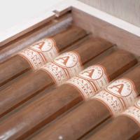 Aladino Orchant Seleccion Corona Cigar - Box of 12