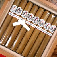 AVO Expressions Limited Edition 2024 Cigar - Box of 15