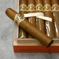 AVO XO Intermezzo ND Cigar - Box of 20
