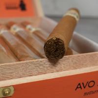 AVO XO Notturno ND Cello Cigar - 1 Single