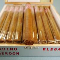 Aladino Cameroon Elegante Cigar - 1 Single