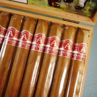 Aladino Cameroon Gordo Cigar - Box of 20