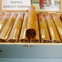 Aladino Cameroon Gordo Cigar - Box of 20