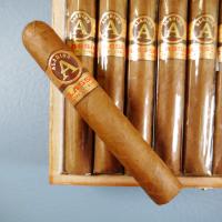 Aladino Classic Robusto Cigar - Box of 20