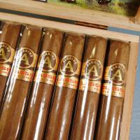 Aladino Classic Robusto Cigar - Box of 20