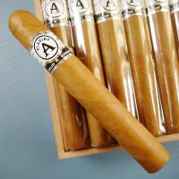 Aladino Connecticut Gordo Cigar - Box of 20