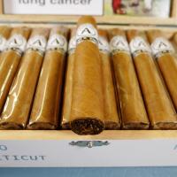 Aladino Connecticut Robusto Cigar - 1 Single