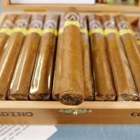Aladino Corojo Corona Cigar - 1 Single
