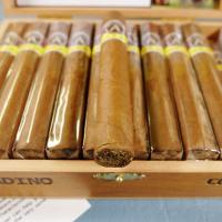 Aladino Corojo Corona Cigar - Box of 20