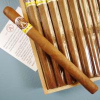 Aladino Corojo Elegante Cigar - Box of 20