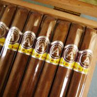 Aladino Corojo Elegante Cigar - 1 Single