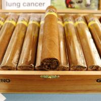 Aladino Corojo Gordo Cigar - 1 Single