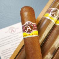 Aladino Corojo Gordo Cigar - 1 Single