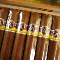 Aladino Corojo Gordo Cigar - 1 Single