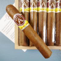 Aladino Corojo Petit Corona Cigar - Box of 20