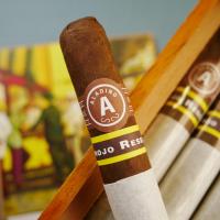Aladino Corojo Reserva No. 4 Cigar - 1 Single