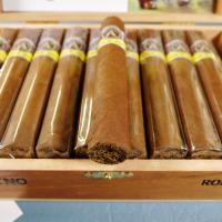 Aladino Corojo Robusto Cigar - 1 Single