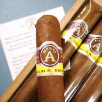 Aladino Corojo Robusto Cigar - 1 Single