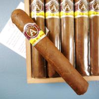 Aladino Corojo Robusto Cigar - Box of 20