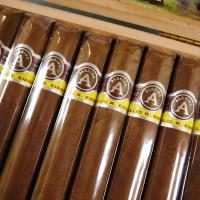 Aladino Corojo Robusto Cigar - 1 Single