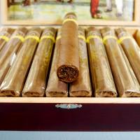 Aladino Maduro Gordo Box Pressed Cigar - Box of 20