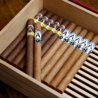 FLASH SALE - 10 + 2 Aladino Santi Cigar Sampler - 12 Cigars