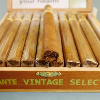 Aladino Vintage Selection Elegante Cigar - Box of 20