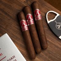 Aladino Cameroon Queens Perfecto Cigar - Box of 20