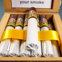 Aladino Corojo Reserva Robusto Cigar - 1 Single
