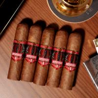 FLASH SALE - Humidor Top Up - Alec Bradley Orchant Seleccion Chubby Sampler - 5 Cigars