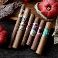 FLASH SALE - An Exclusive Savings Sampler - 6 Cigars