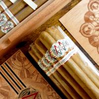 AVO Expressions Limited Edition 2024 Cigar - 1 Single