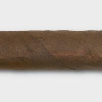 Blackbird Glitch Toro Cigar - Box of 20