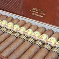 Bolivar Regentes Edici?n Limitada 2021 Cigar - Box of 25